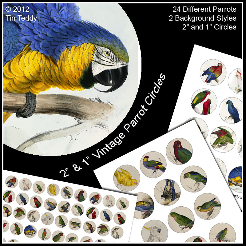 Parrot Collage Sheets - 2" And 1" Digital Images For Cupcake Toppers Jewelry And Other Crafts